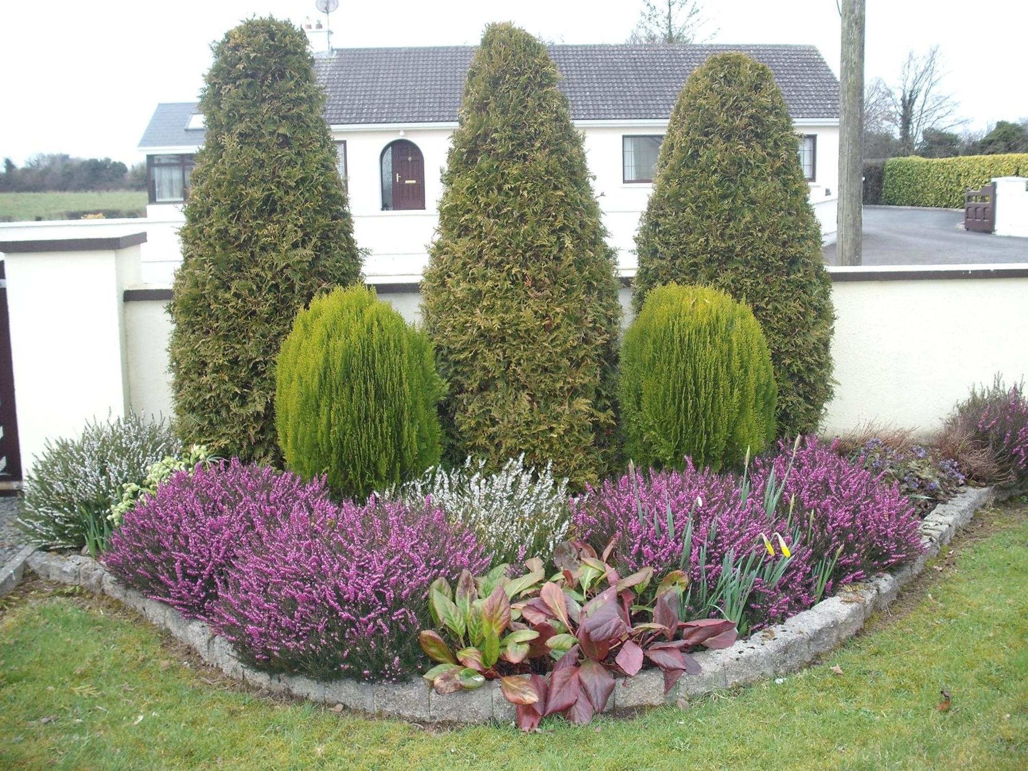 Maryville Bed And Breakfast Nenagh ภายนอก รูปภาพ